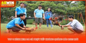 Top 3 Kênh Xem Đá Gà Trực Tiếp Không Quảng Cáo 2025 Mới